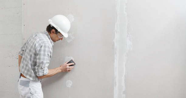 Best Drywall Texturing  in Campbell, MO